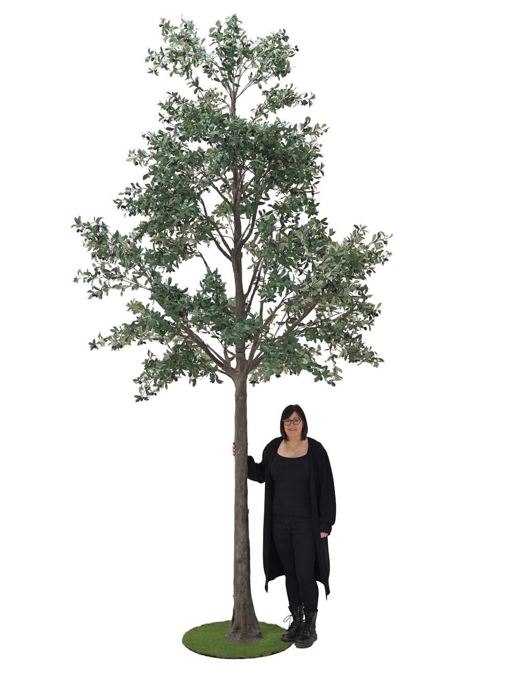 SN10159_Giant Tree (5m) - Olive_event_prop_hire_EPH_Creative (7) copy _optimised