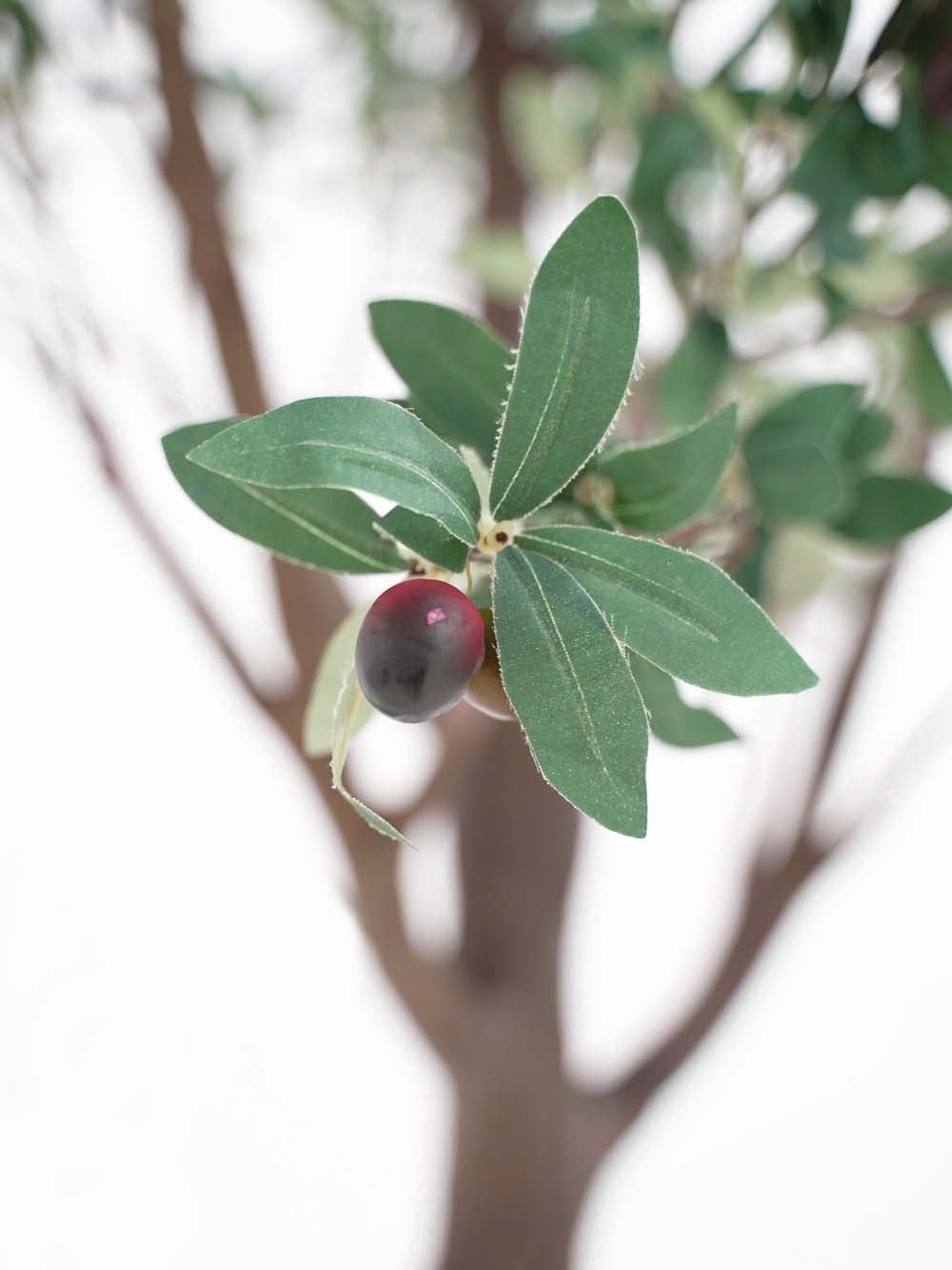 SN10162_Tall Trunk Tree (3.5m) - Olive_event_prop_hire_EPH_Creative (10) copy _optimised