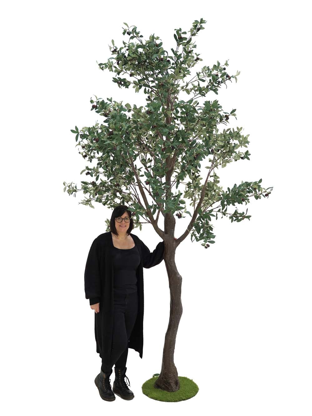 SN10162_Tall Trunk Tree (3.5m) - Olive_event_prop_hire_EPH_Creative (16) copy _optimised