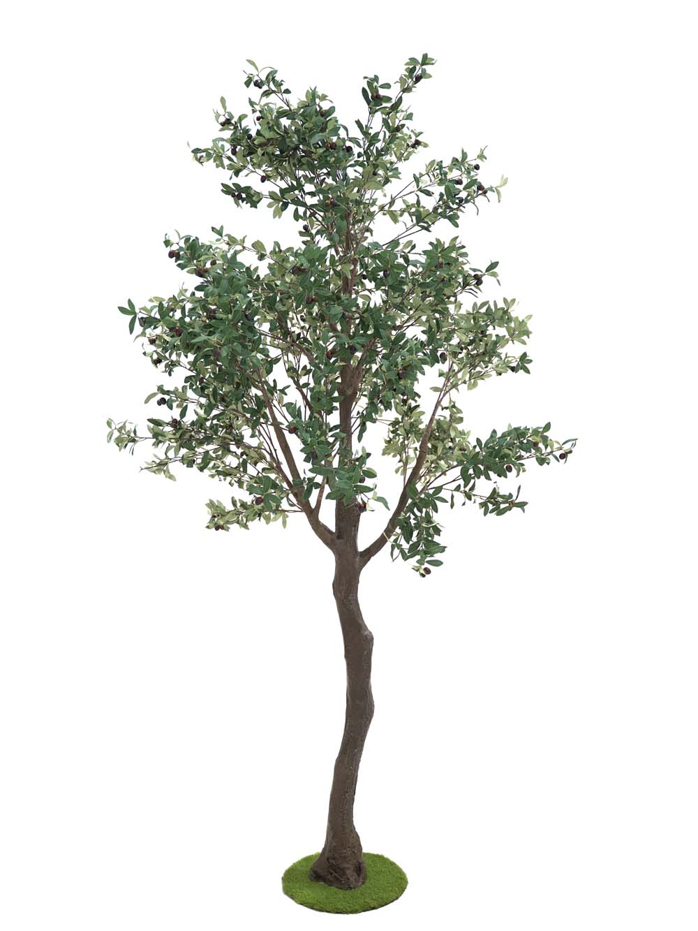 SN10162_Tall Trunk Tree (3.5m) - Olive_event_prop_hire_EPH_Creative (7) copy _optimised