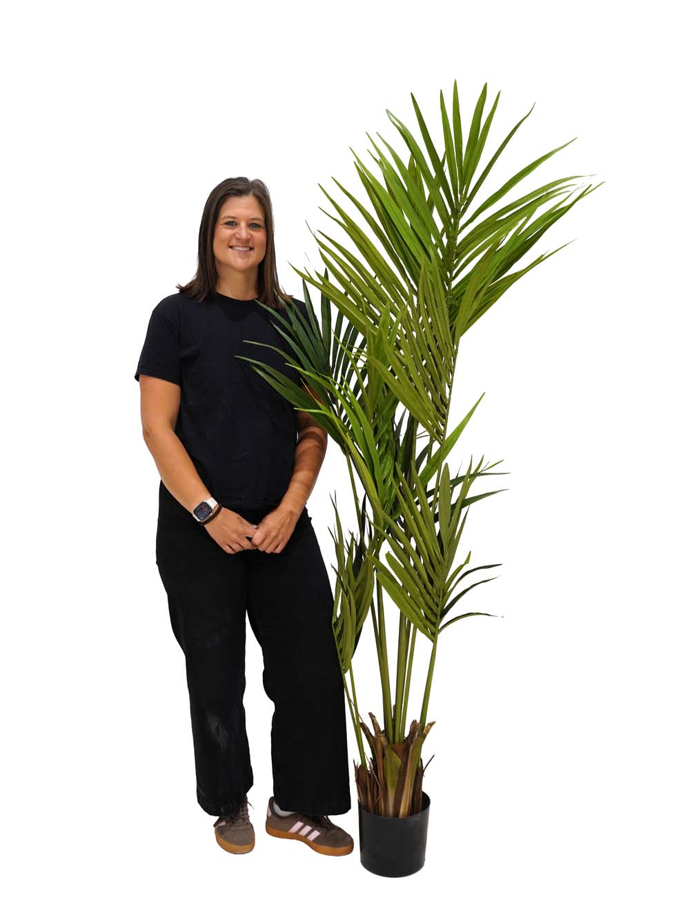 SN10790_Paradise Palm Plant - Medium_event_prop_hire_EPH_Creative (1) copy _optimised