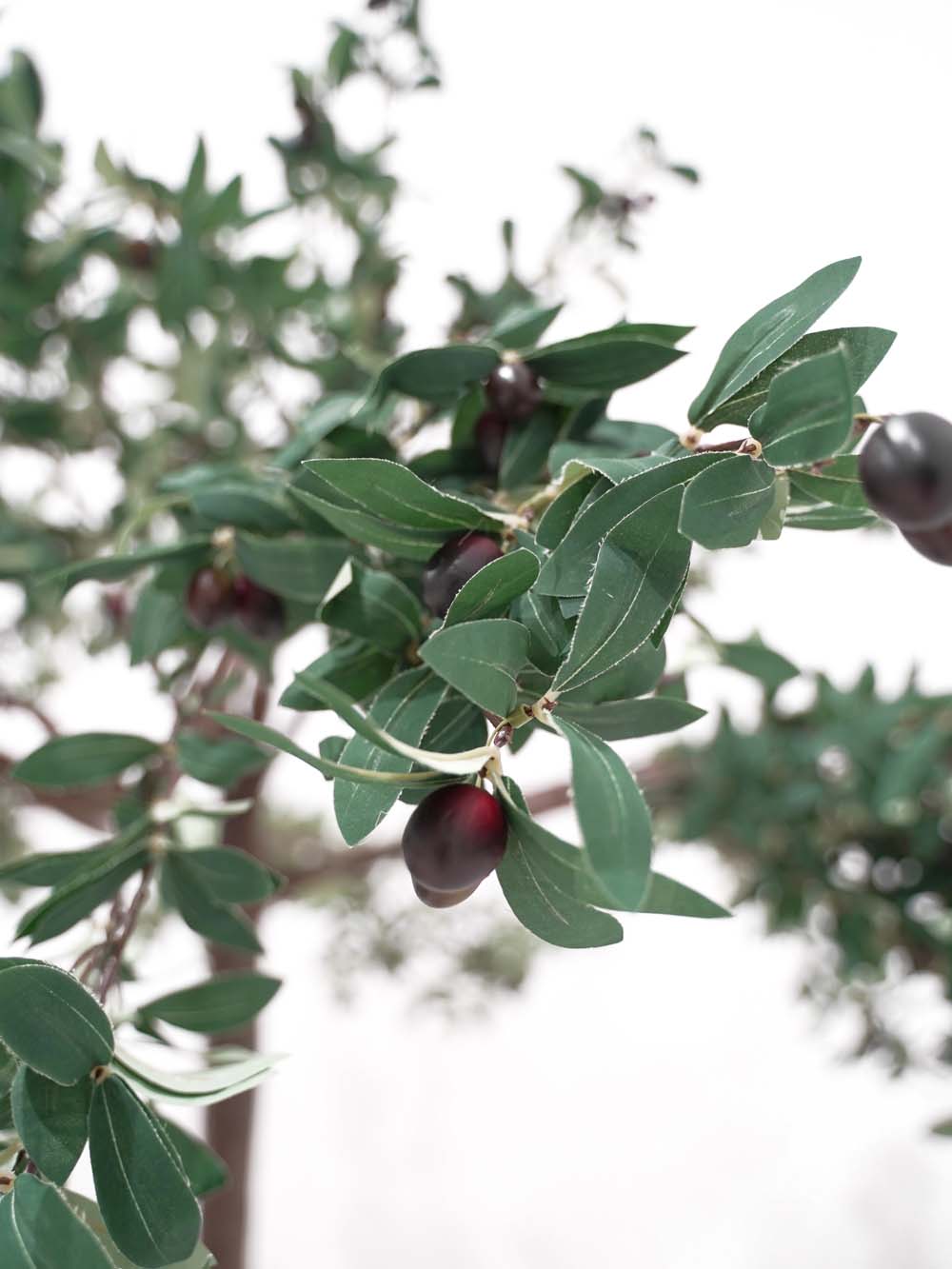 SN10115_Umbrella Table Top Tree - Olive_event_prop_hire_EPH_Creative (12) copy _optimised