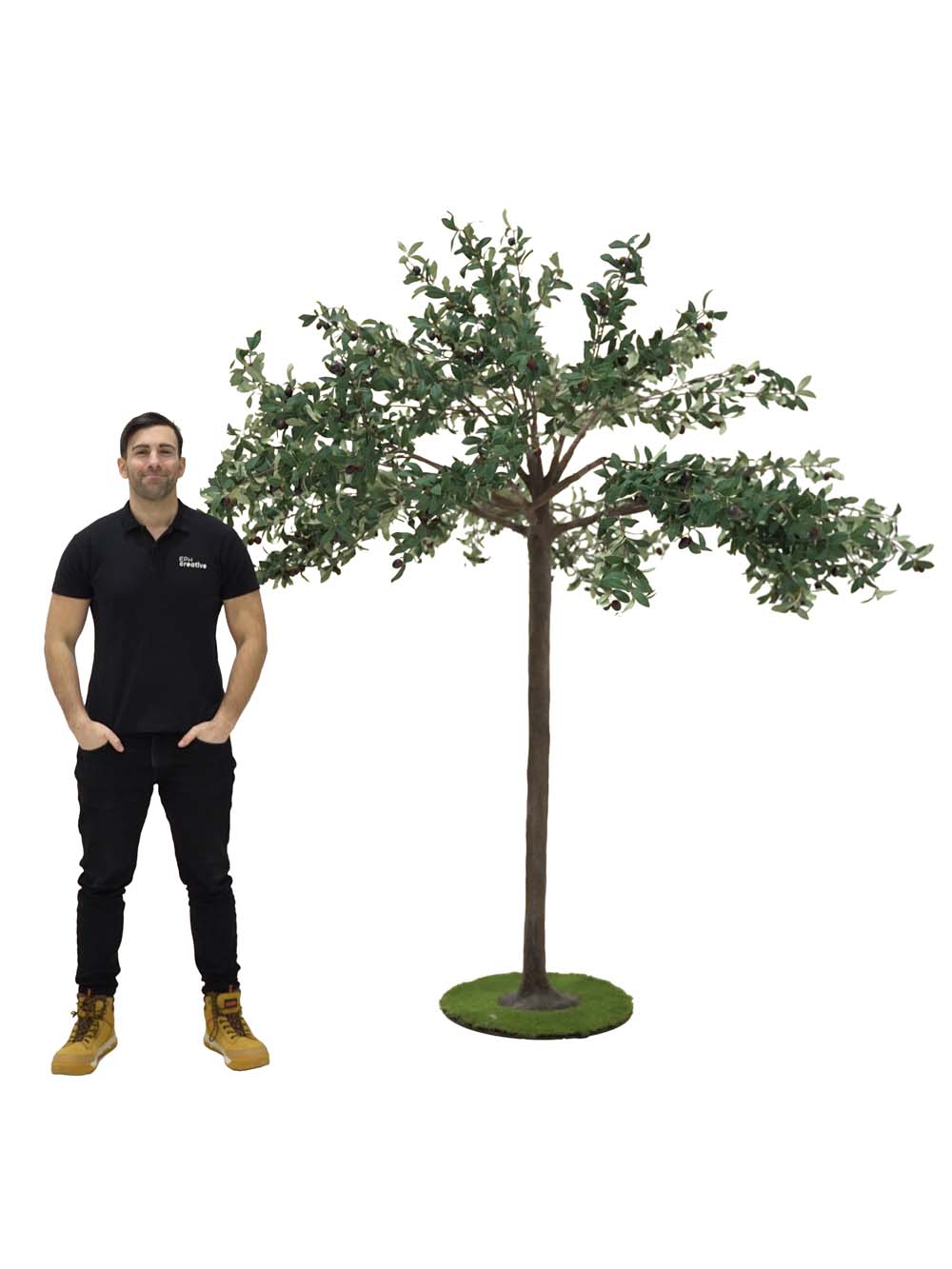 SN10115_Umbrella Table Top Tree - Olive_event_prop_hire_EPH_Creative (4) copy _optimised