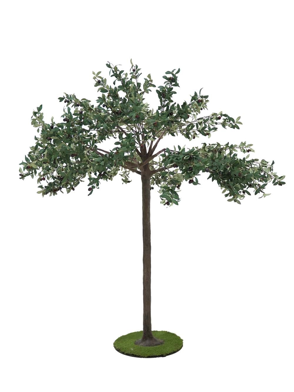 SN10115_Umbrella Table Top Tree - Olive_event_prop_hire_EPH_Creative (7) copy _optimised