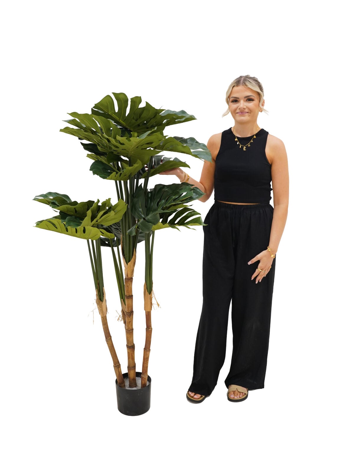 SN11899_Monstera Plant Large - 140cm (FR)_event_prop_hire_EPH_Creative (4) copy