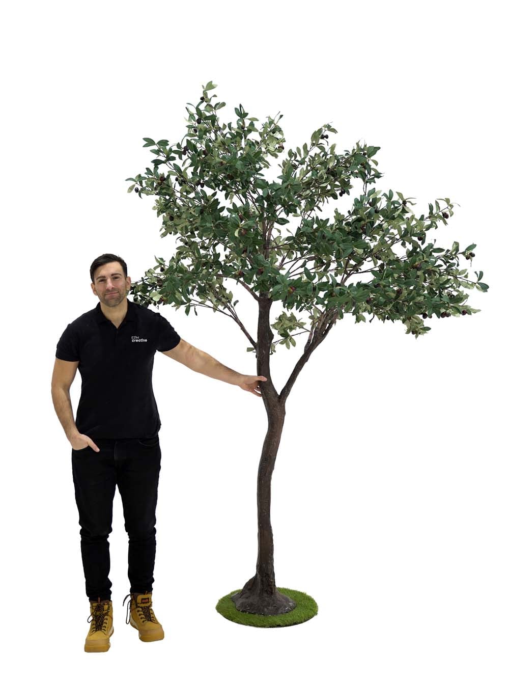 SN9321_Y-Shaped Tree (2.7m) - Olive_event_prop_hire_EPH_Creative (6) copy _optimised