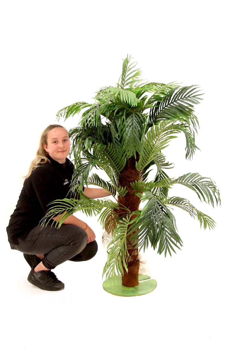 SN8823_Florida Palm Tree - 1.5m tall_event_prop_hire_EPH_Creative_197_optimised