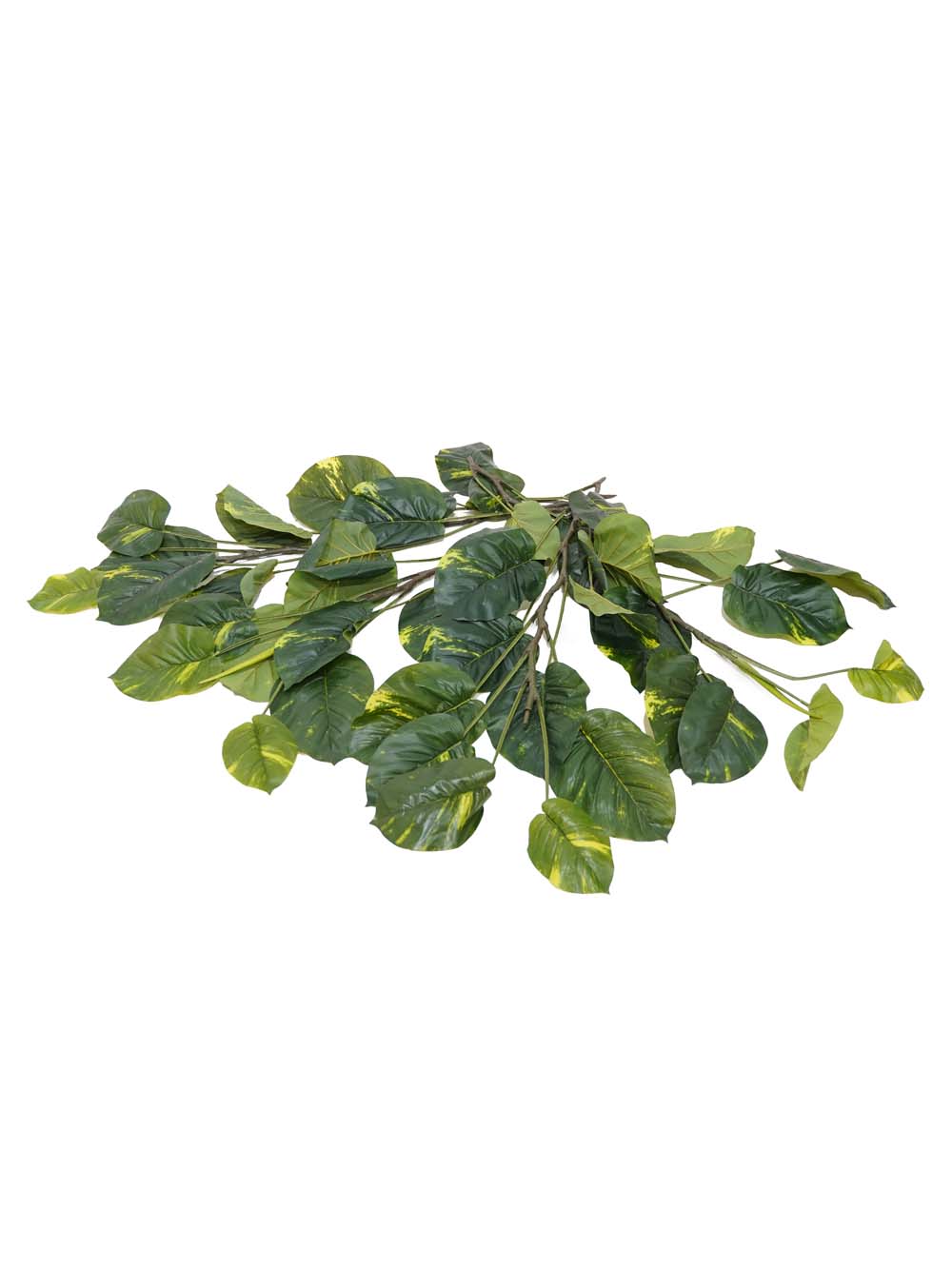 SN11090_Large Leafed Philo Leaf Plant (no pot) - Set of 4_event_prop_hire_EPH_Creative (1) copy _optimised