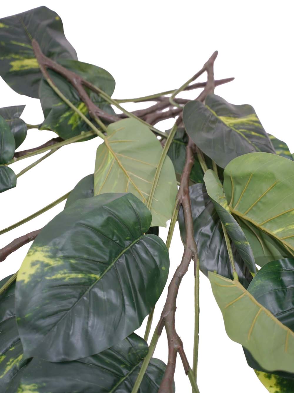 SN11090_Large Leafed Philo Leaf Plant (no pot) - Set of 4_event_prop_hire_EPH_Creative (4) copy _optimised