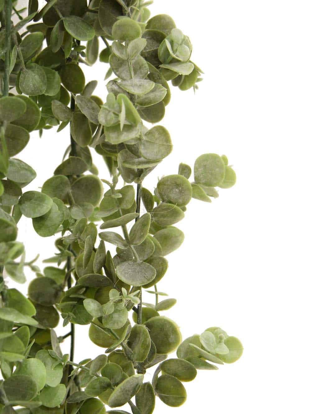 SN12163_Eucalyptus Garland (Small Leaves) - 182cm - Set of 4 (SN12082)_event_prop_hire_EPH_Creative_381