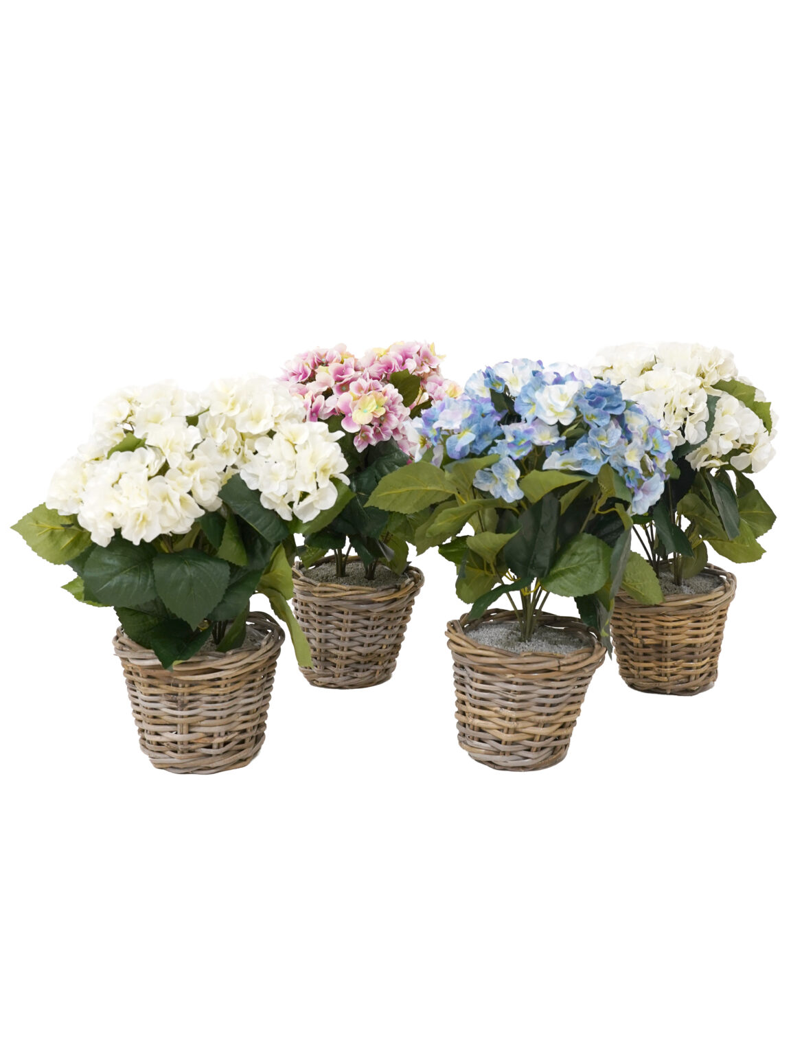 SN12234_Potted Hydrangea Bush - Assorted Colours - Set of 3_event_prop_hire_EPH_Creative (1) copy