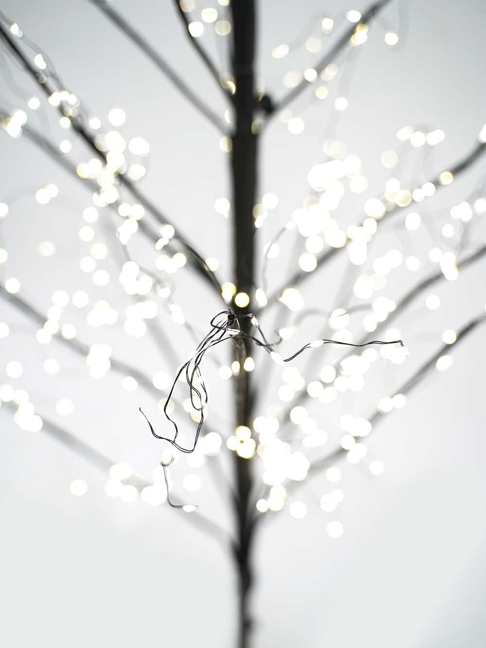 SN13205_Illuminated Black Tree - 2 (16) copy _optimised