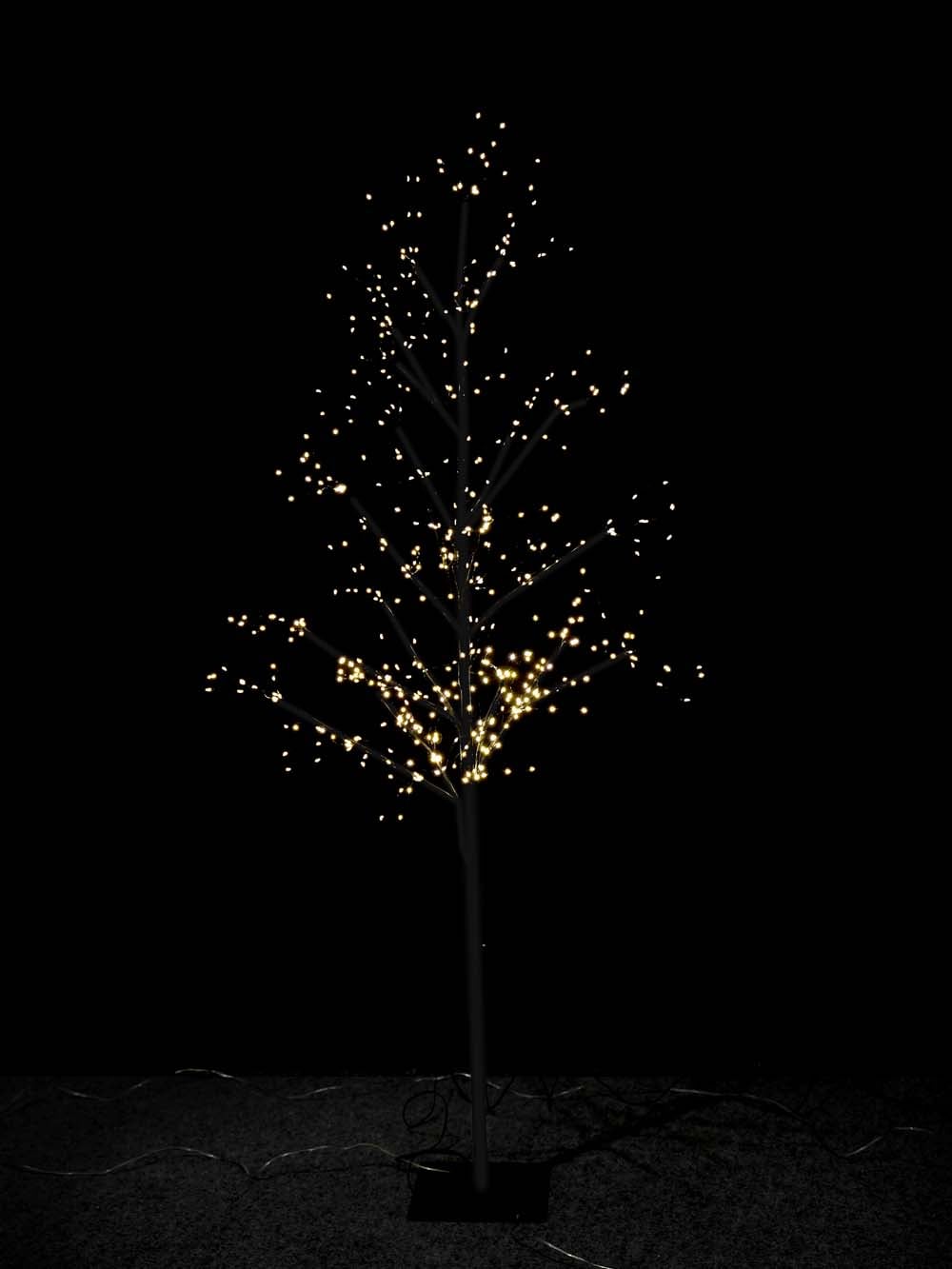 SN13208 _Illuminated Black Tree - 1 (6) copy _optimised