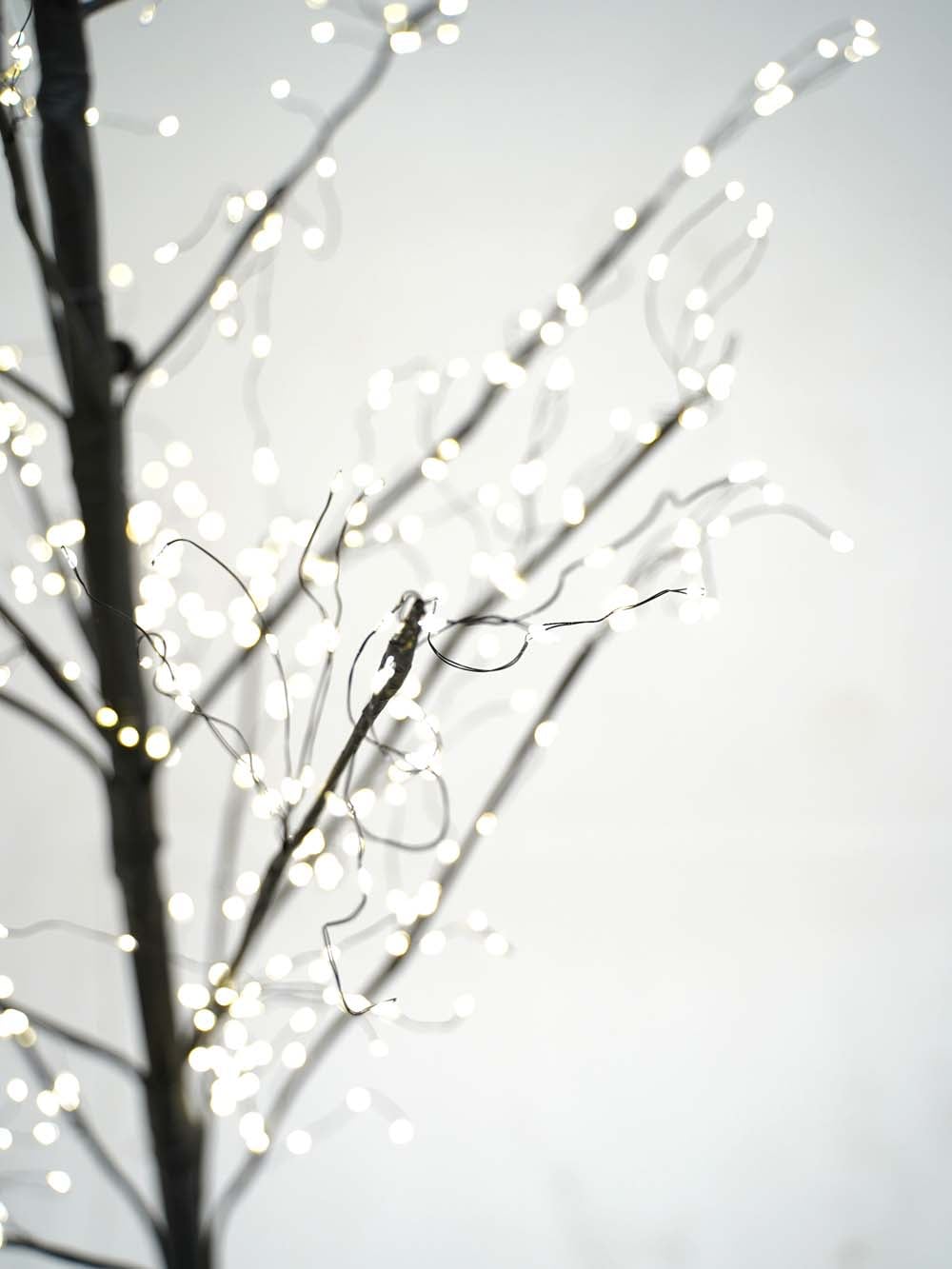 SN13208_Illuminated Black Tree - 1 (4) copy _optimised