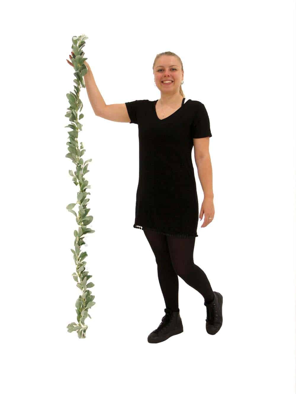 SN10656_Eucalyptus Garland (Large Leaves) - 180cm - Set of 6_event_prop_hire_EPH_Creative_570