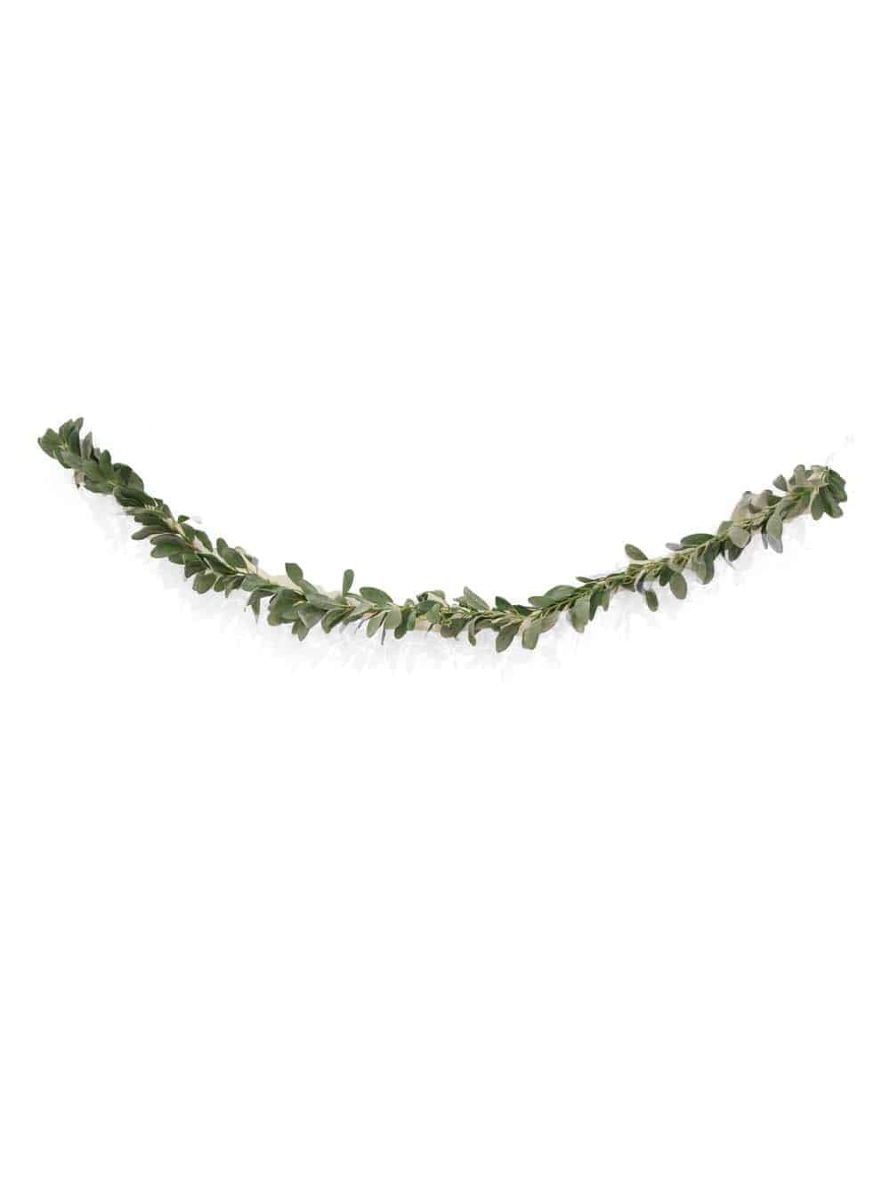 SN10656_Eucalyptus Garland (Large Leaves) - 180cm - Set of 6_event_prop_hire_EPH_Creative_573