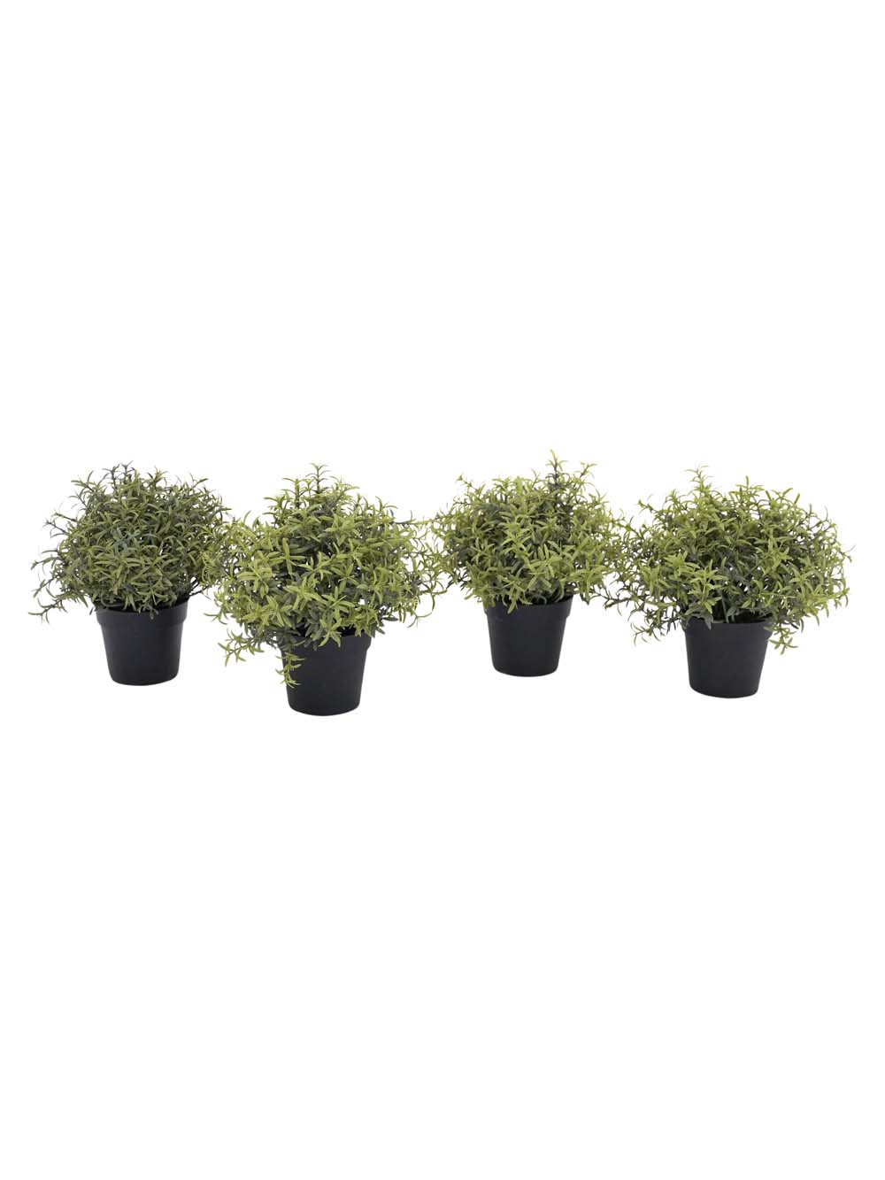 SN11074 _Rosemary Bush in Pot - Small - Set of 4 - (Style May Vary)_event_prop_hire_EPH_Creative_094 copy _optimised