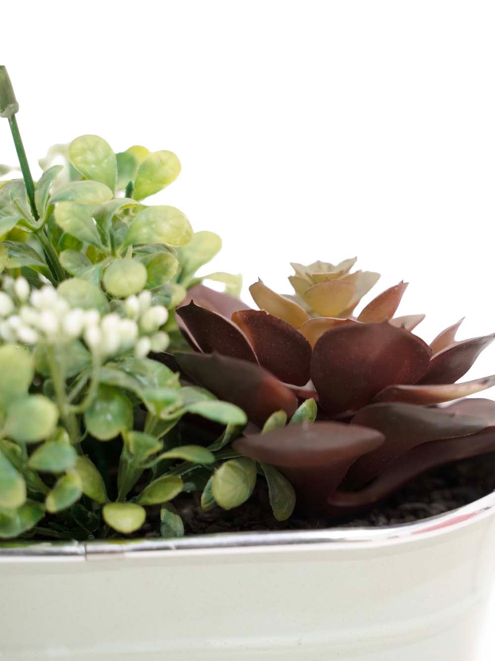 SN9209_Succulent Arrangement - Natural Green_event_prop_hire_EPH_Creative (24) copy _optimised
