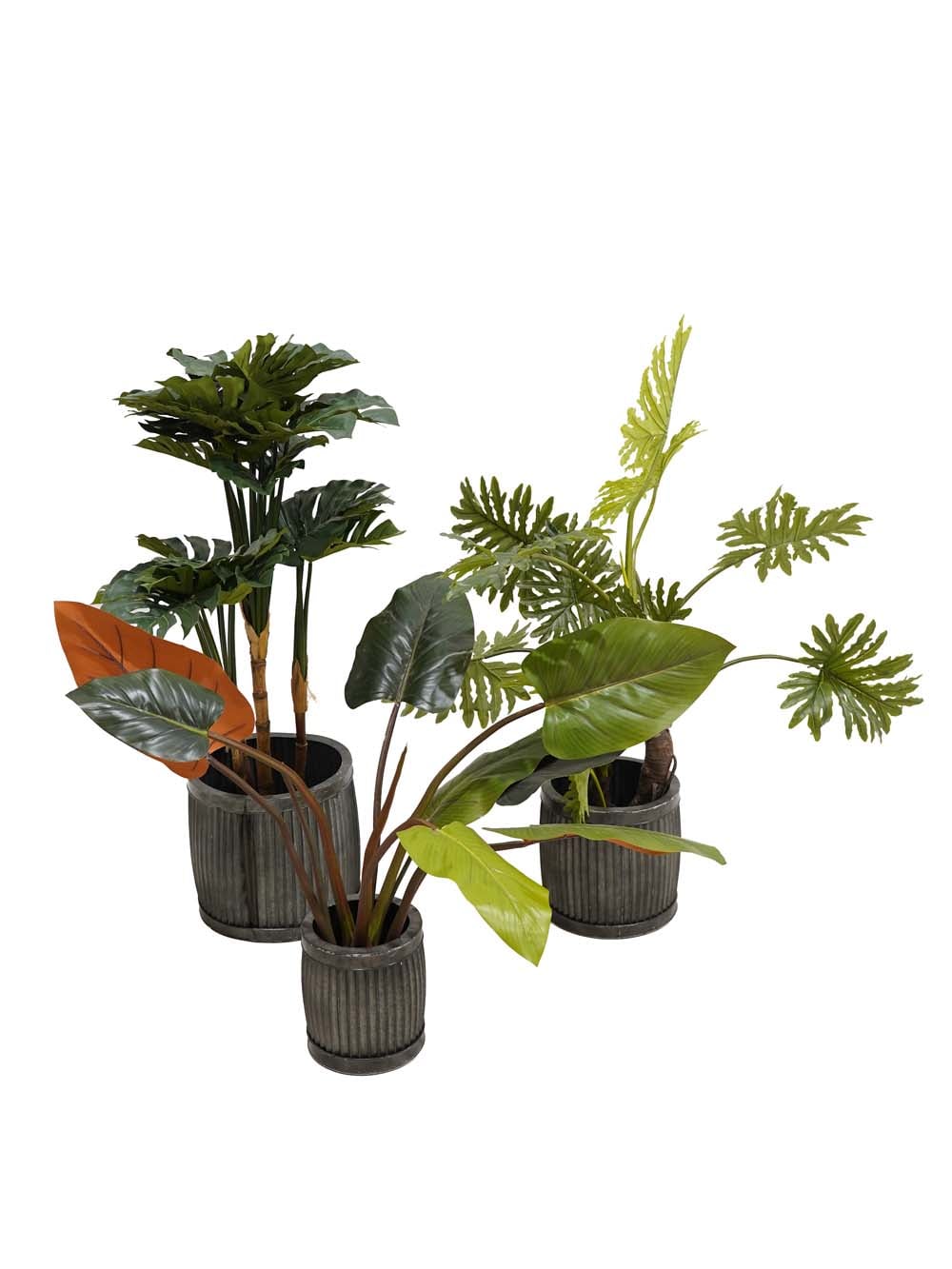 SN14079_Beach Resort - Foliage Set - #2_event_prop_hire_EPH_Creative
