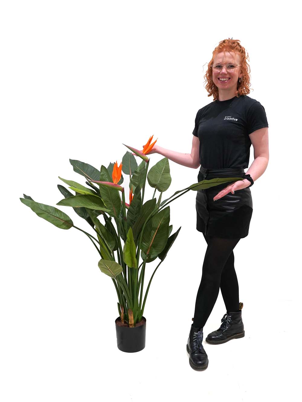 SN14519-_Bird-of-Paradise-Medium_event_prop_hire_EPH_Creative_052-copy-_optimised