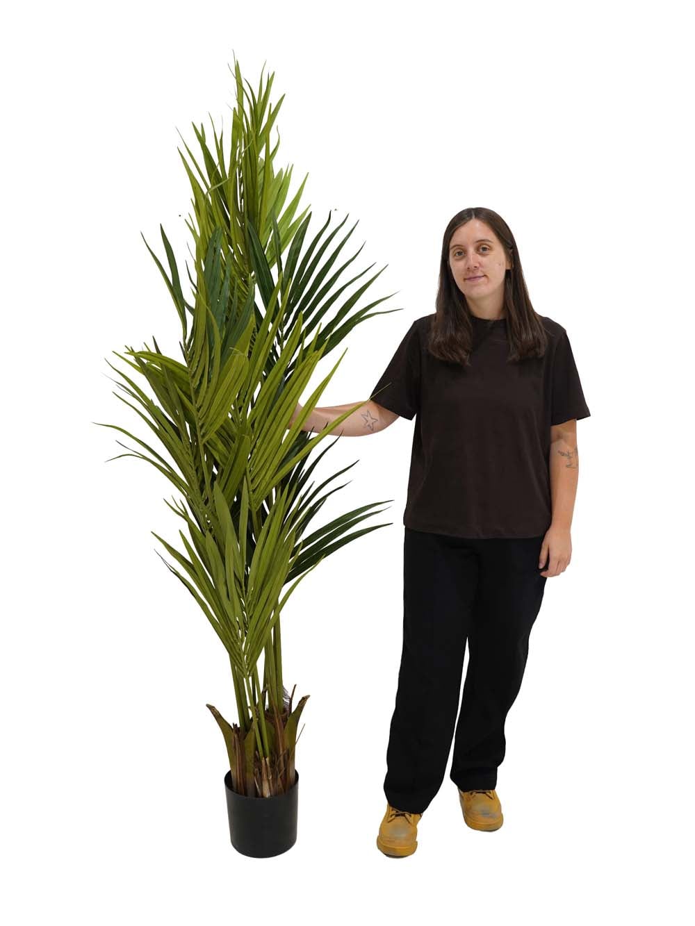 SN8330_Kentia Palm 1.8m (FR)_event_prop_hire_EPH_Creative (1) copy _optimised
