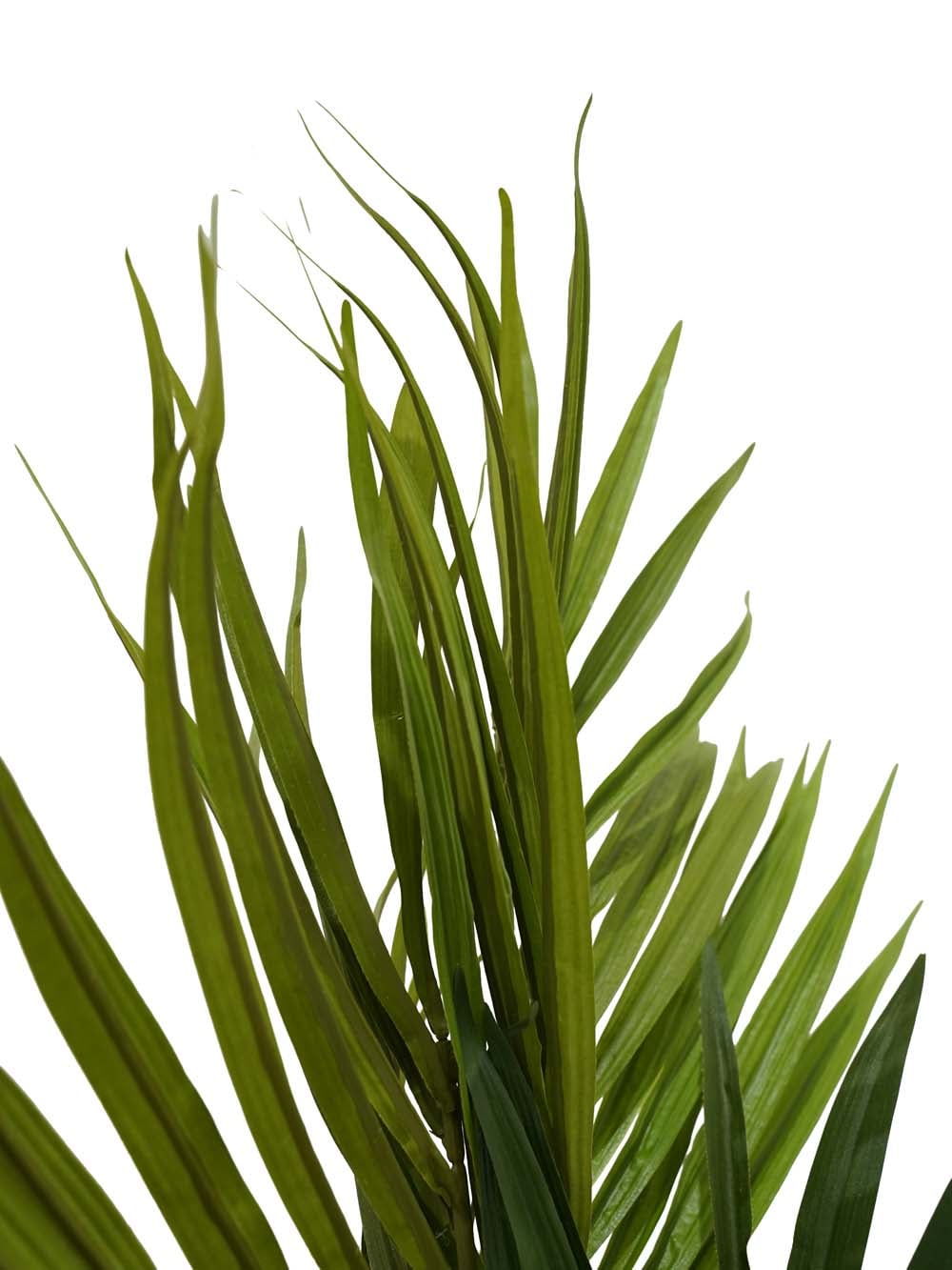 SN8330_Kentia Palm 1.8m (FR)_event_prop_hire_EPH_Creative (5) copy _optimised
