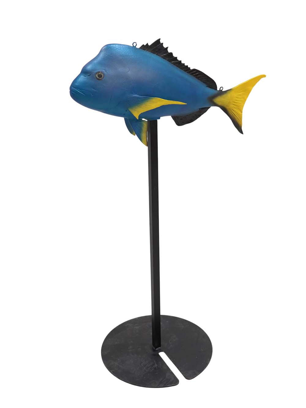 SN16008 _Colourful Fish - Blue_Yellow - (Floor Standing)_event_prop_hire_EPH_Creative_233 copy _optimised