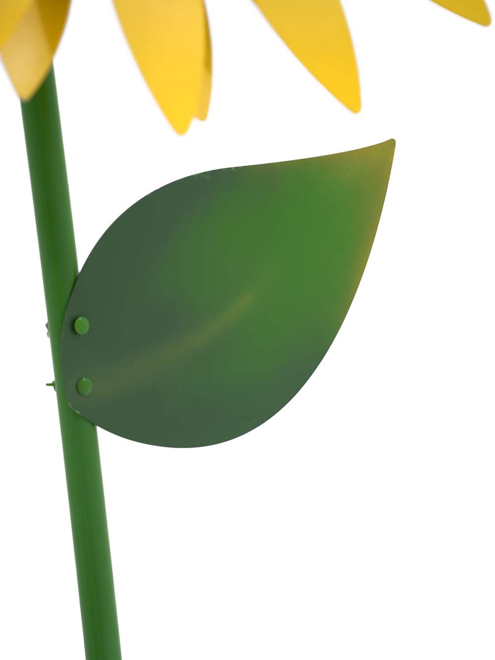 SN14738 _Giant Sunflower - 2. (8) copy _optimised