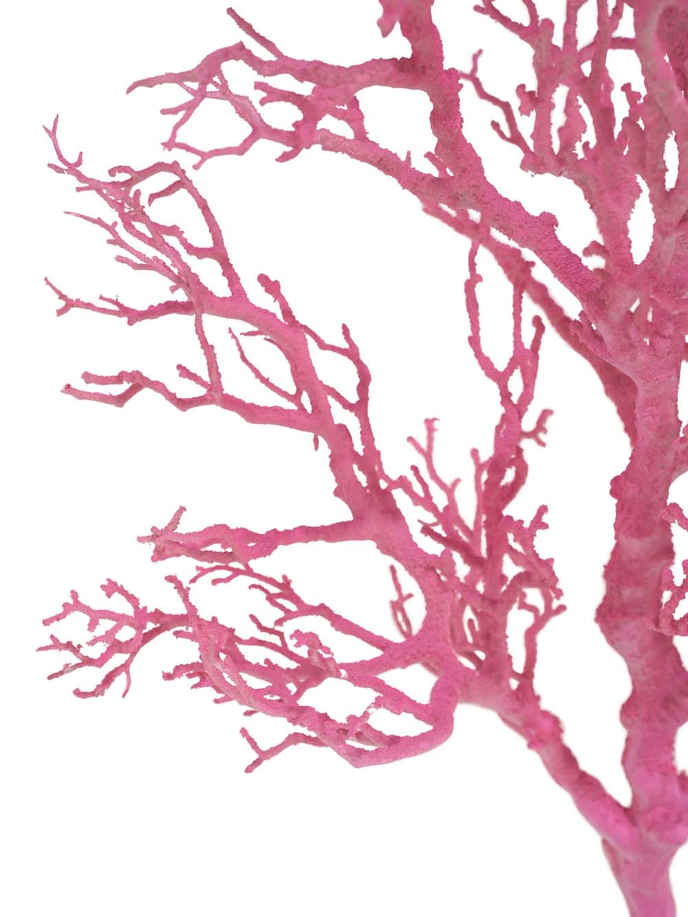 SN15793 _Coral Tree - Light Pink_event_prop_hire_EPH_Creative_040 copy _optimised