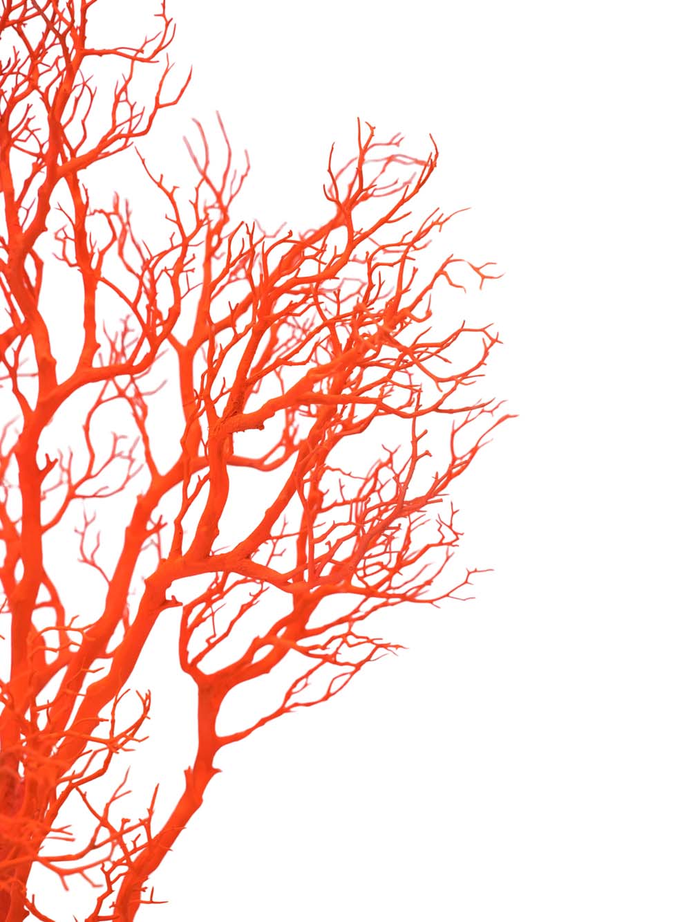 SN15815_Table Top Tree (1.8m) - UV Orange_event_prop_hire_EPH_Creative_307 copy _optimised