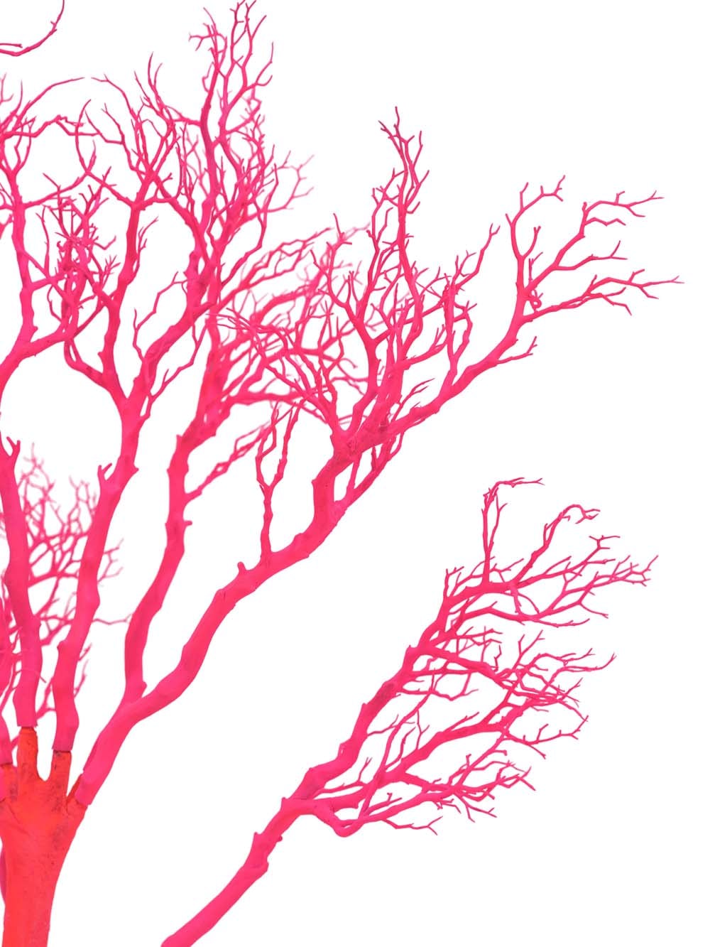 SN15816 _Table Top Tree (1.8m) - UV Pink_event_prop_hire_EPH_Creative_323 copy _optimised