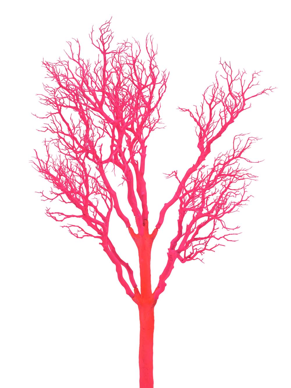 SN15816 _Table Top Tree (1.8m) - UV Pink_event_prop_hire_EPH_Creative_325 copy _optimised