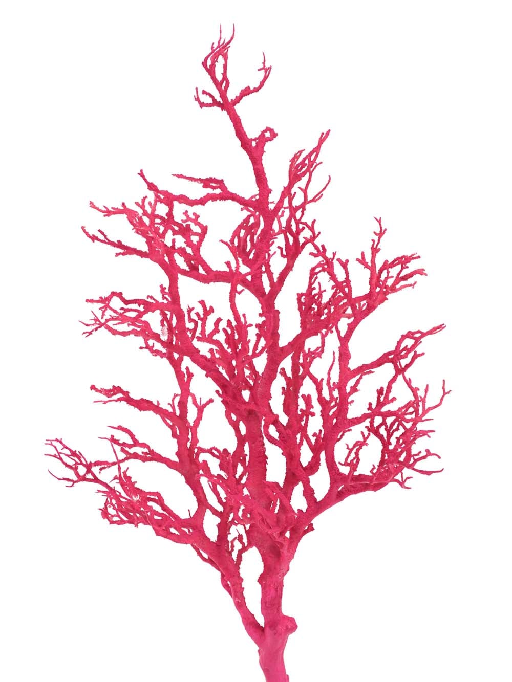 SN15908 _Coral Tree - Bright Pink_event_prop_hire_EPH_Creative_004 copy _optimised