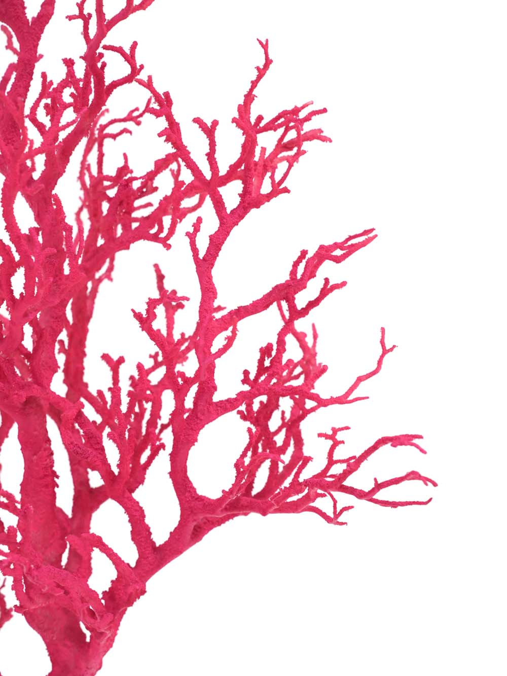 SN15908 _Coral Tree - Bright Pink_event_prop_hire_EPH_Creative_005 copy _optimised