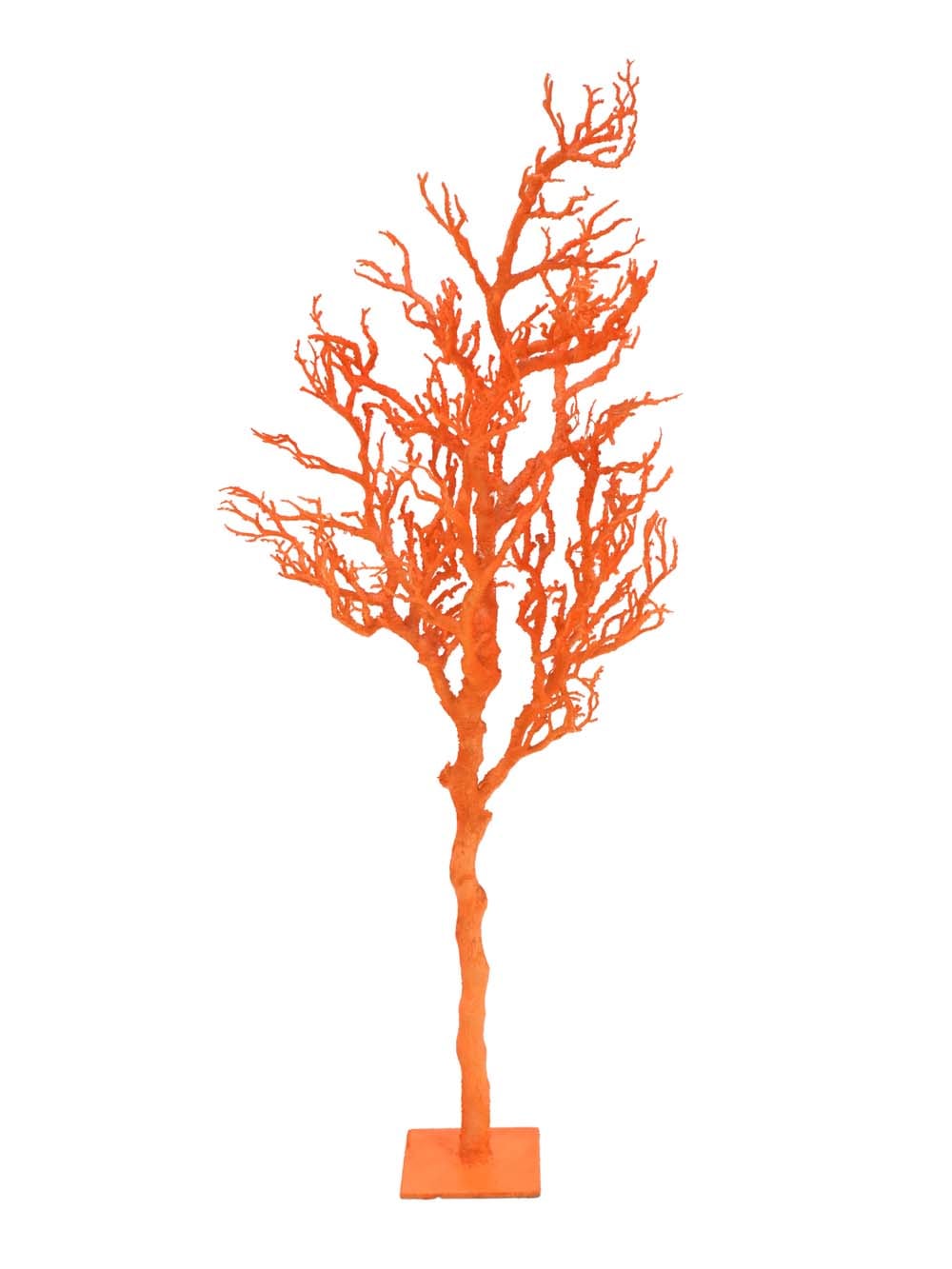 SN15909 _Coral Tree - Orange_event_prop_hire_EPH_Creative_011 copy _optimised