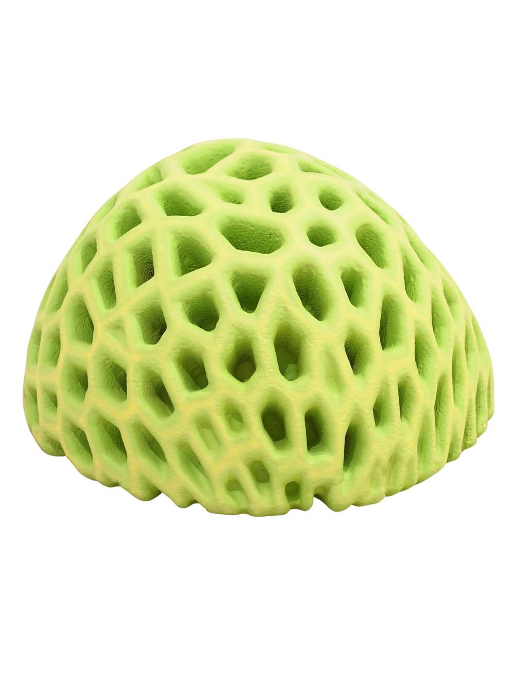 SN15937_Brain Coral - Medium_event_prop_hire_EPH_Creative_283 copy _optimised