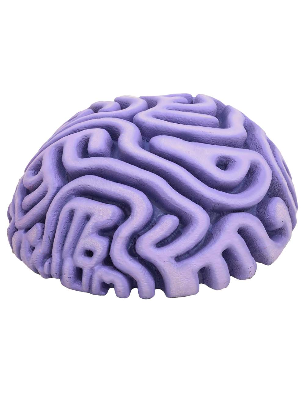 SN15938 _Brain Coral - Large_event_prop_hire_EPH_Creative_284 copy _optimised