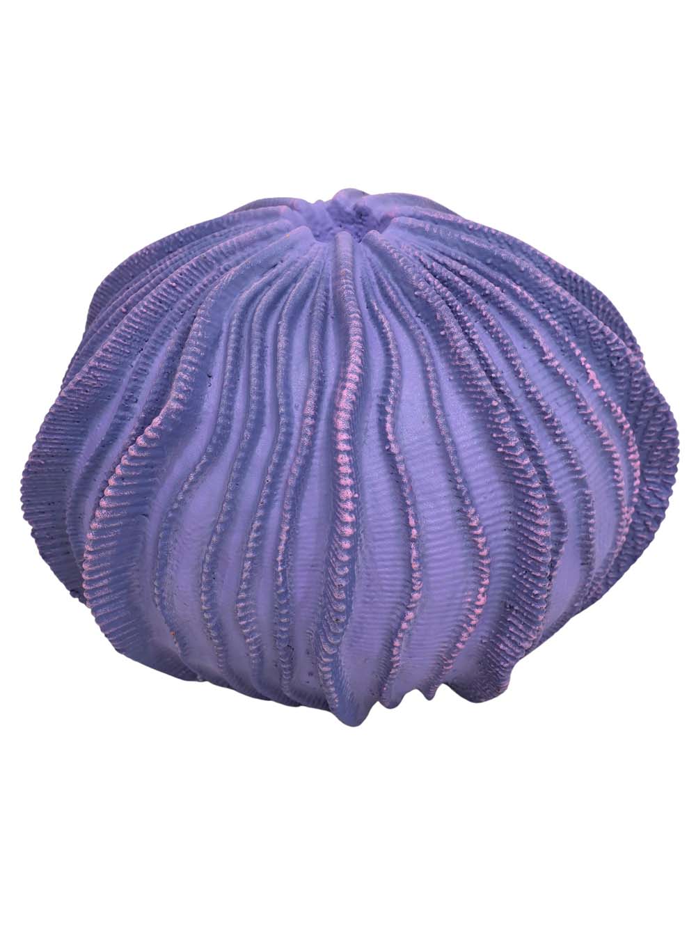SN15941 _Sea Urchin - Medium_event_prop_hire_EPH_Creative_311 copy _optimised