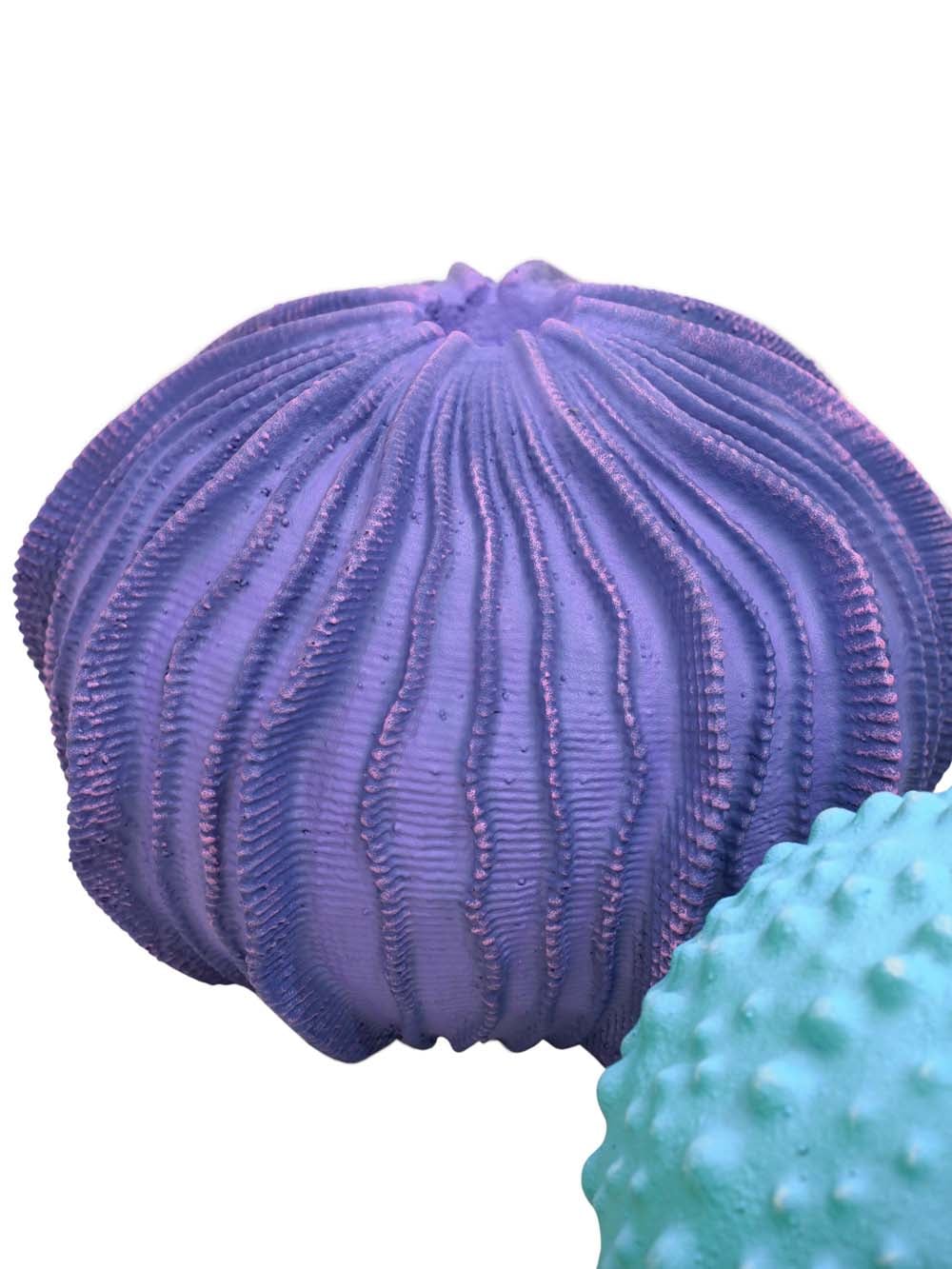 SN15943 _Sea Urchin - Set of 3_event_prop_hire_EPH_Creative_301 copy _optimised