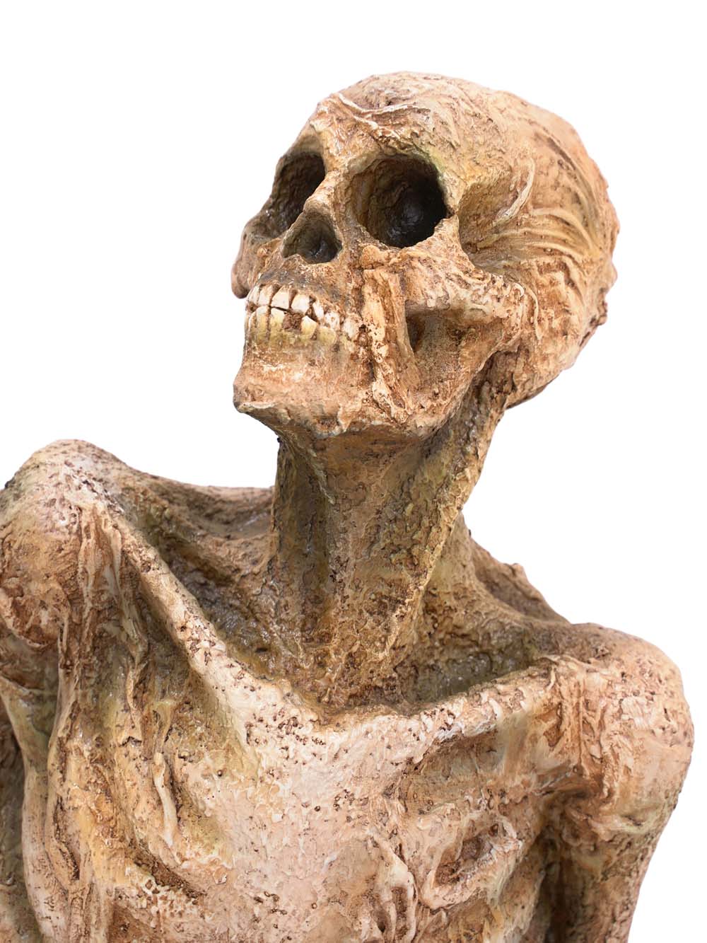 SN16214 _Zombie Skeleton - #1_event_prop_hire_EPH_Creative_024 copy _optimised
