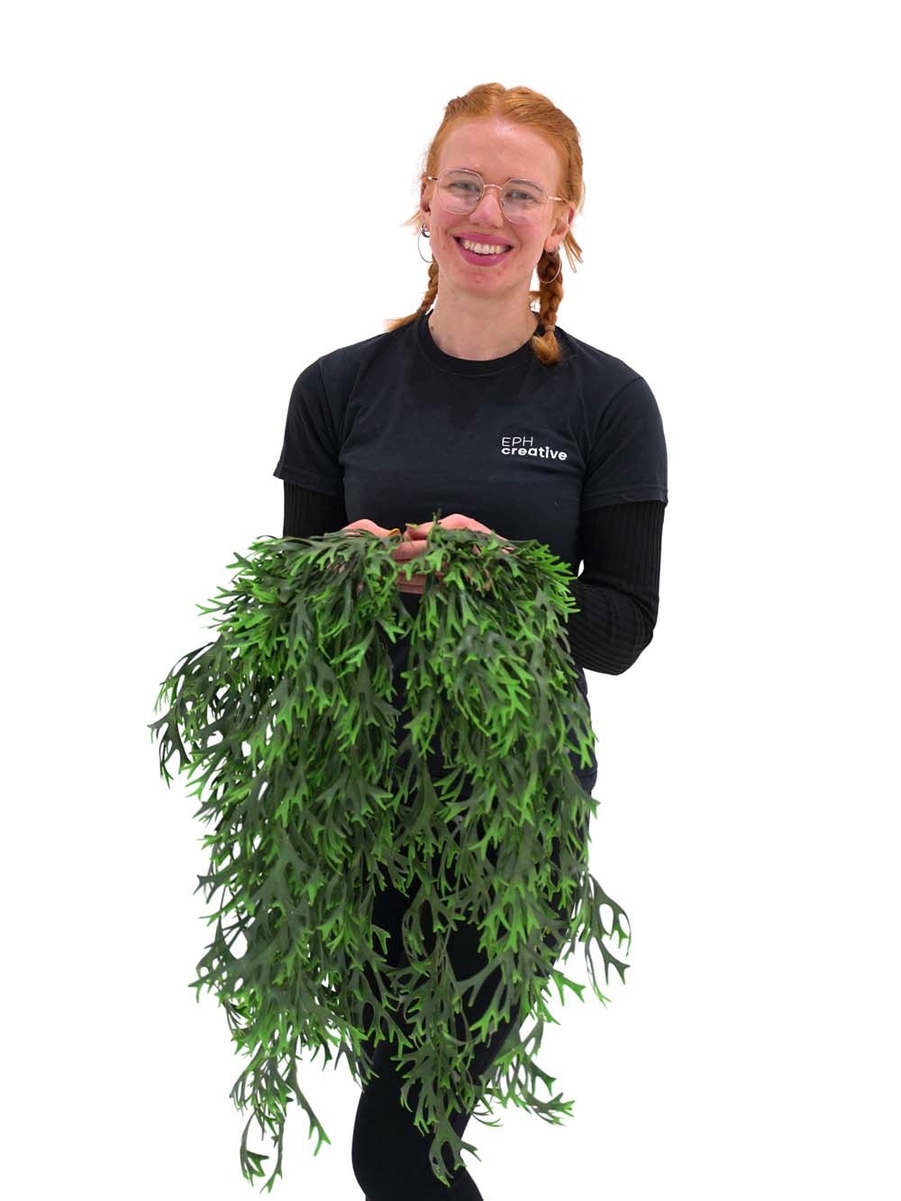 SN11080 _Trailing Staghorn Grass (FR) - Set of 5_event_prop_hire_EPH_Creative_067 copy _optimised