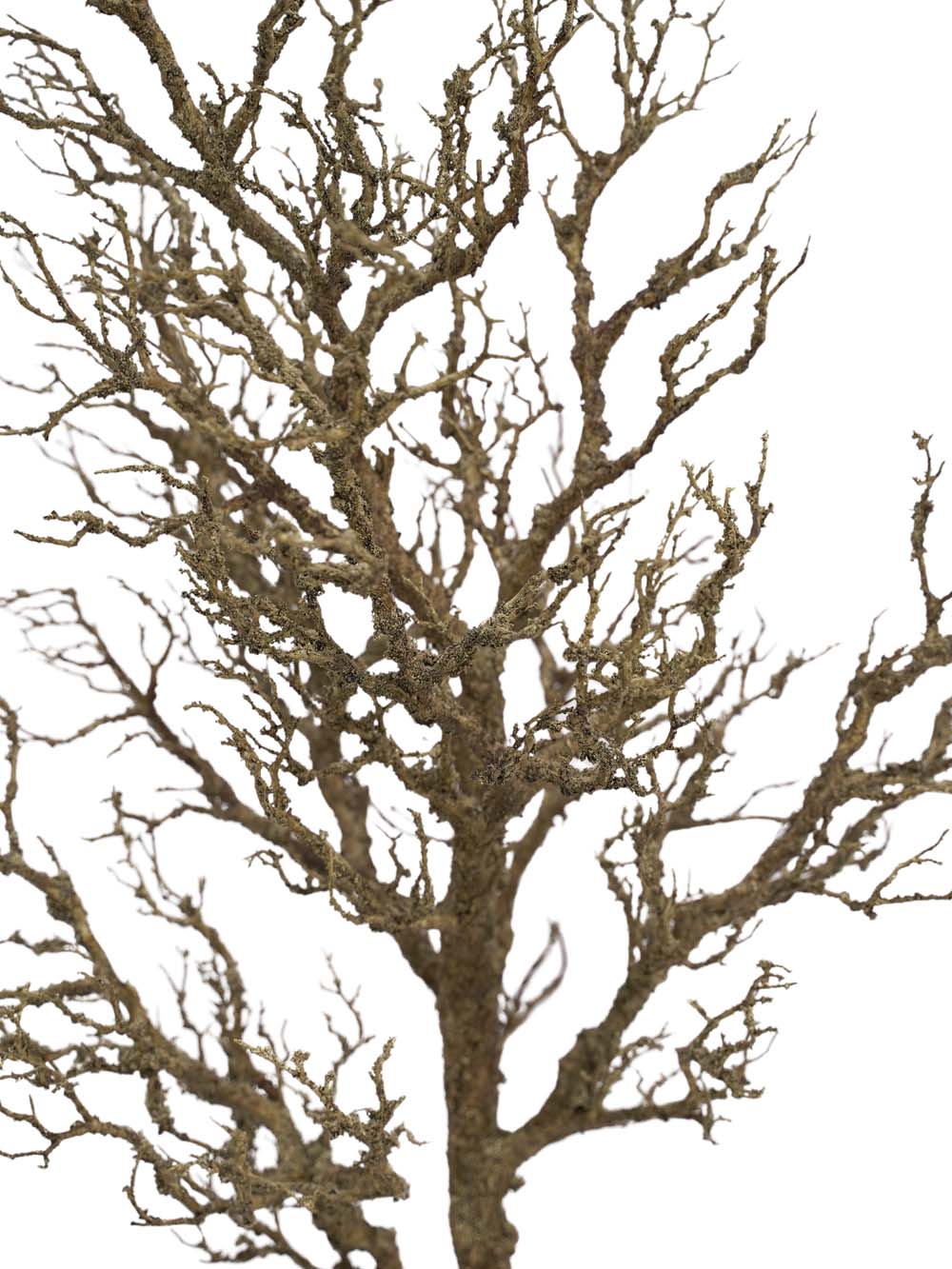 SN15788 _Bare Twig Tree - 1.9m_event_prop_hire_EPH_Creative_318. (3) copy _high_res _optimised
