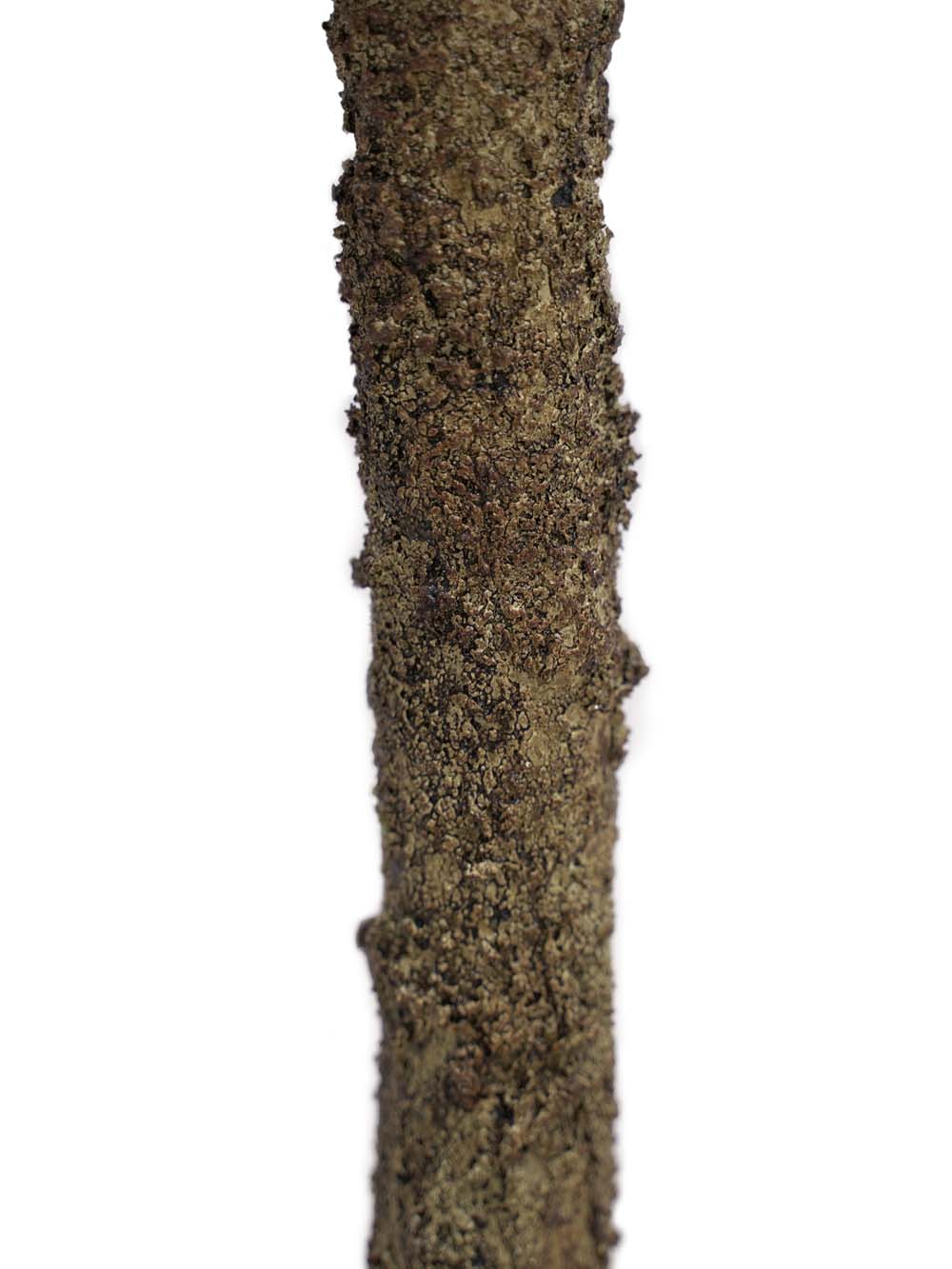 SN15788 _Bare Twig Tree - 1.9m_event_prop_hire_EPH_Creative_318. (5) copy _high_res _optimised