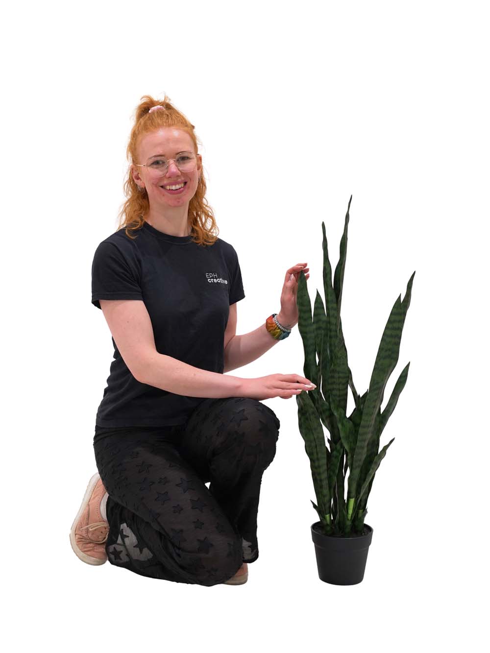 SN15879 _Sansevieria - Dark Green - Medium_event_prop_hire_EPH_Creative_411 copy _optimised