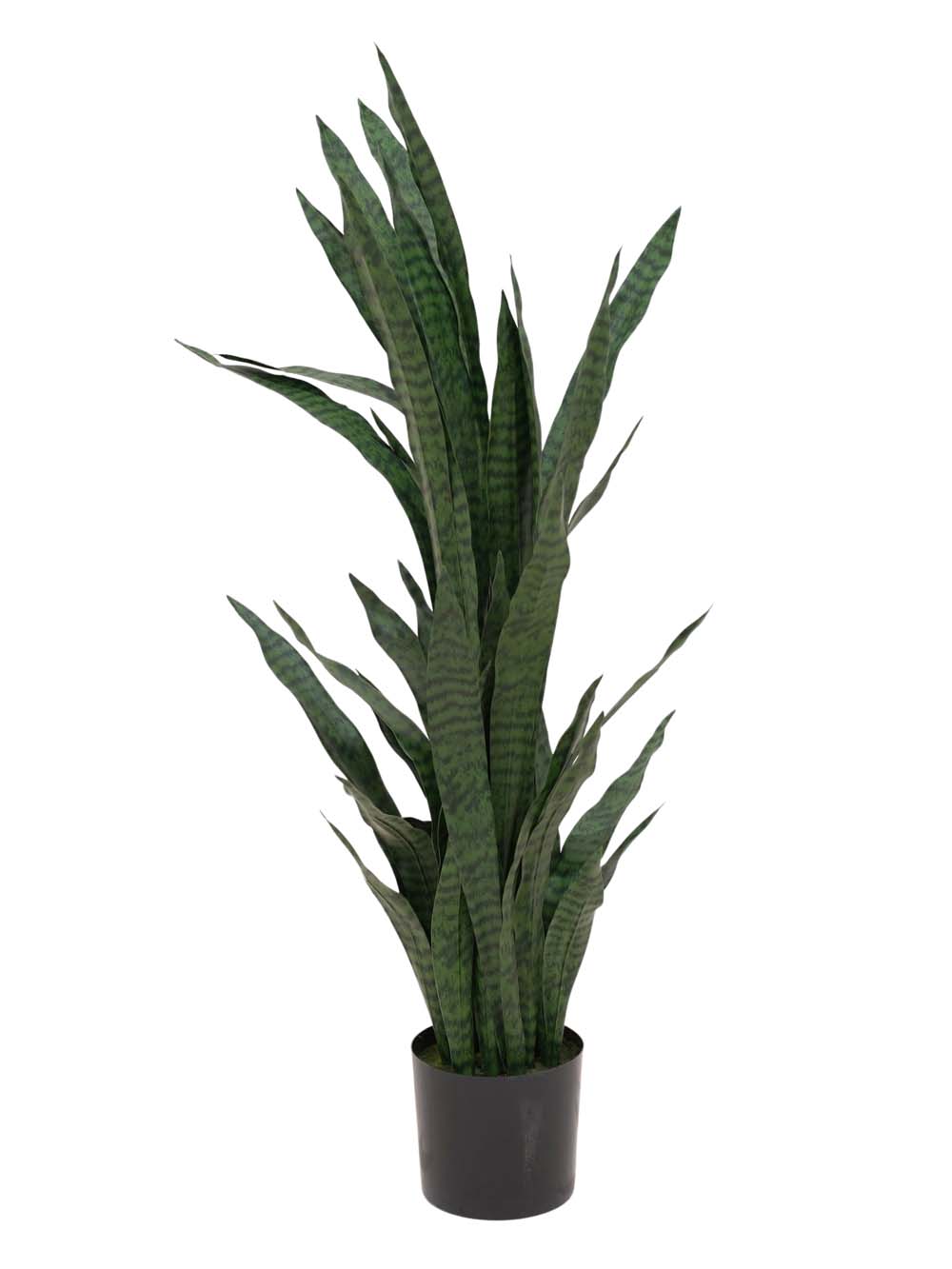 SN15880 _Sansevieria - Dark Green - Large_event_prop_hire_EPH_Creative_428 copy _optimised
