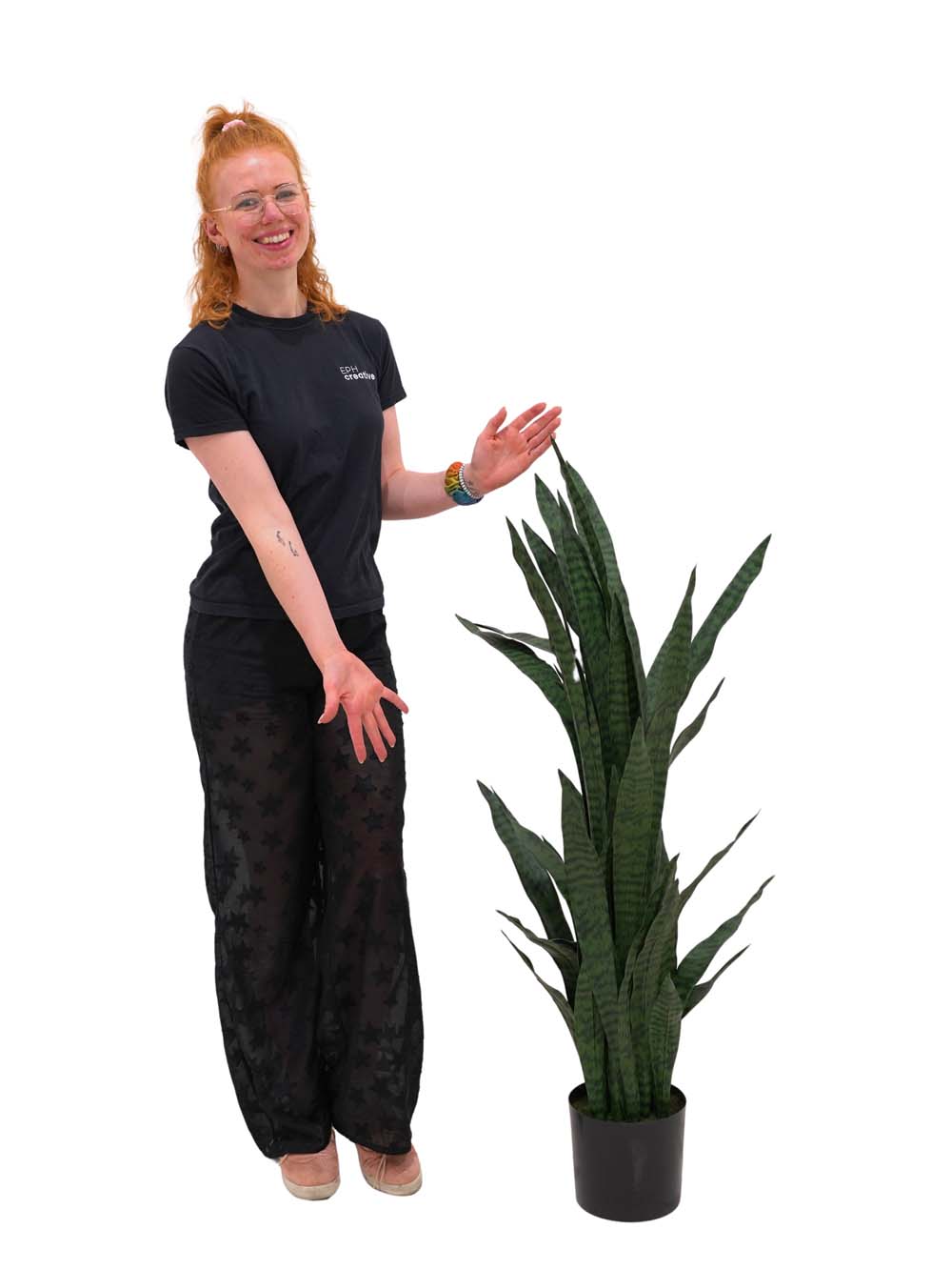 SN15880 _Sansevieria - Dark Green - Large_event_prop_hire_EPH_Creative_438 copy _optimised