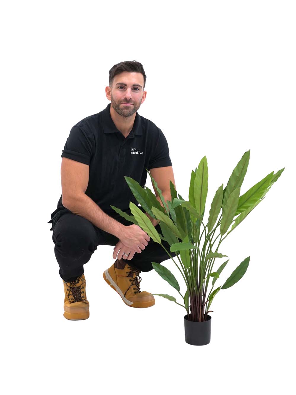 SN15985 _Calathea Plant - Small_event_prop_hire_EPH_Creative_786 copy _optimised