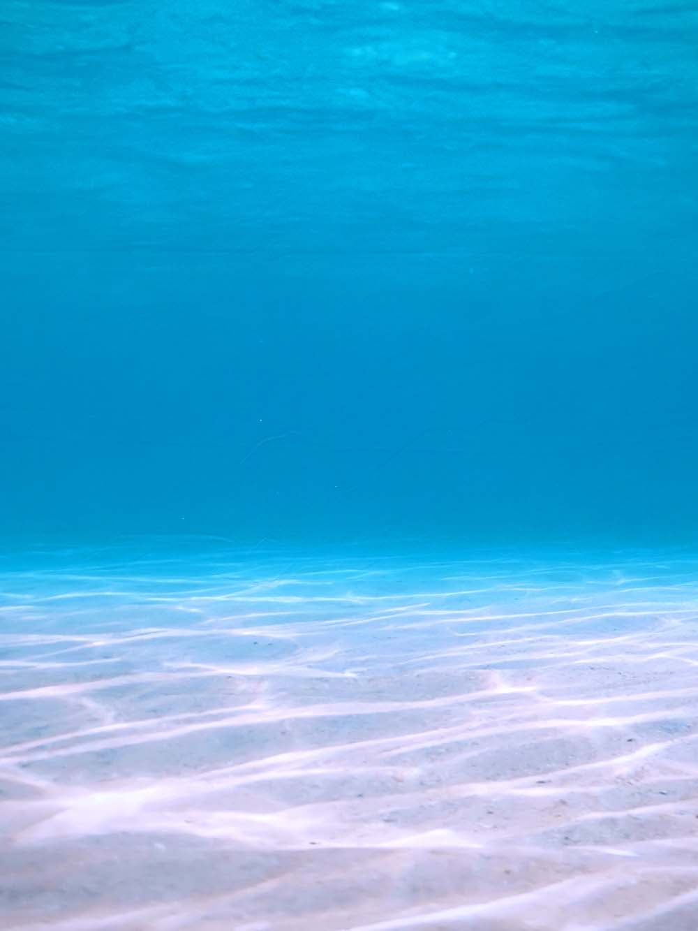 SN16139 _Double Sided Stretch Frame Backdrop - Coral Reef #A - 5m x 2. (27) copy _optimised