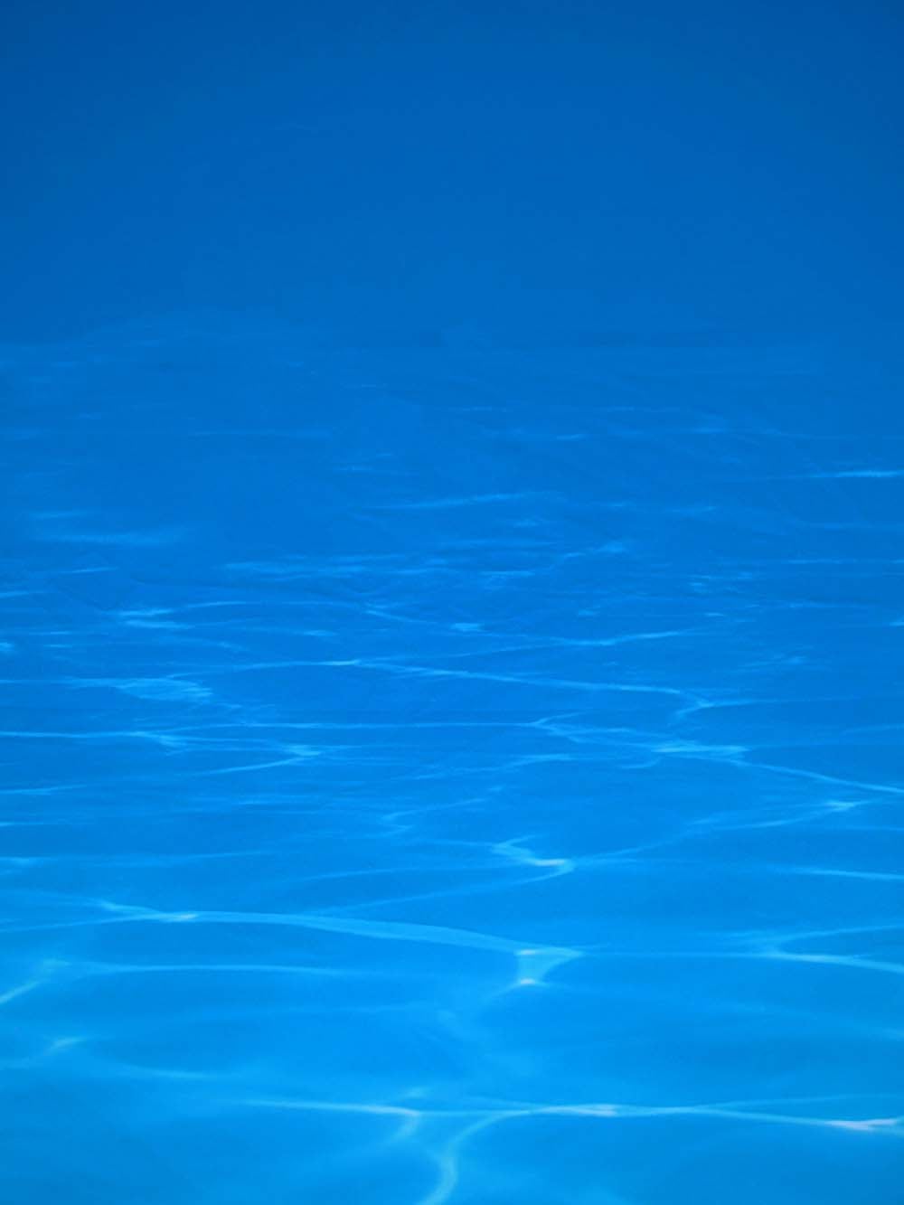 SN16139 _Double Sided Stretch Frame Backdrop - Coral Reef #A - 5m x 2. (9) copy _optimised