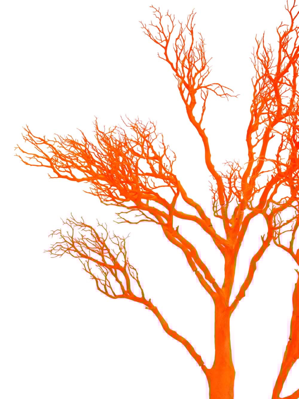 SN15809 _Y-Shaped Tree (2.7m) - UV Orange_event_prop_hire_EPH_Creative_199 copy _optimised
